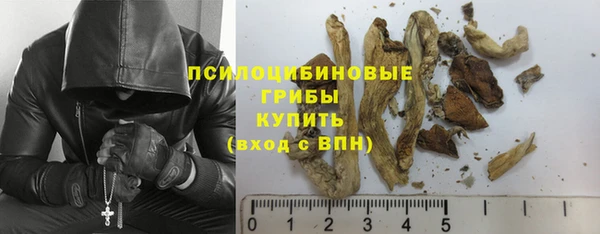 стафф Бородино