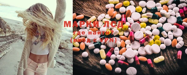 стафф Бородино