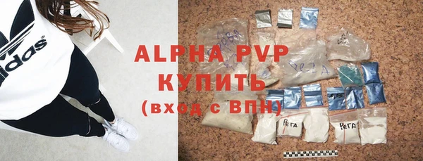 стафф Бородино
