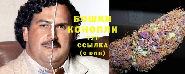 стафф Бородино
