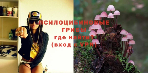 спиды Бугульма